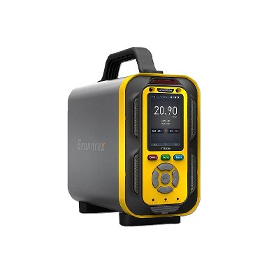 三合一气体分析仪 PTM600-3(CO、H2S、O2)