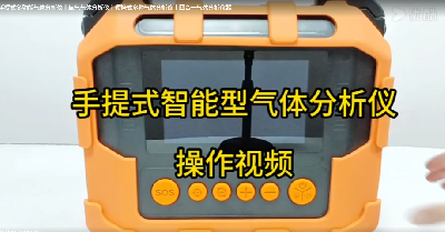 手提式多功能气体分析仪 PTM600-S-10