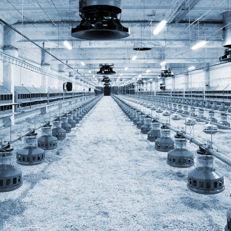 养殖场氨气解决方案